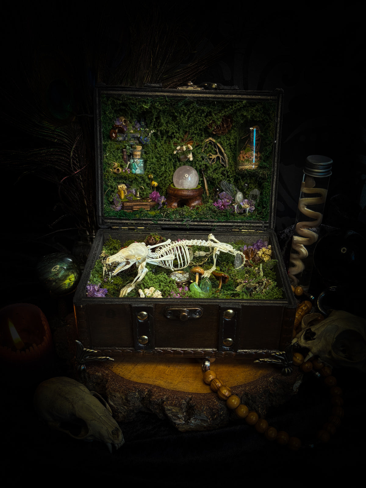 Peculiar Alchemist — one-of-a-kind handmade witchy fairycore reliquary in a hand-stained wooden cabinet with a mole skeleton, preserved hornet, rose quartz orb, turquoise, miniature books, moss and alchemical curiosities.
