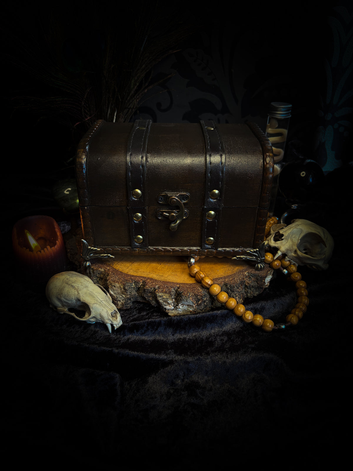 Peculiar Alchemist — one-of-a-kind handmade witchy fairycore reliquary in a hand-stained wooden cabinet with a mole skeleton, preserved hornet, rose quartz orb, turquoise, miniature books, moss and alchemical curiosities.