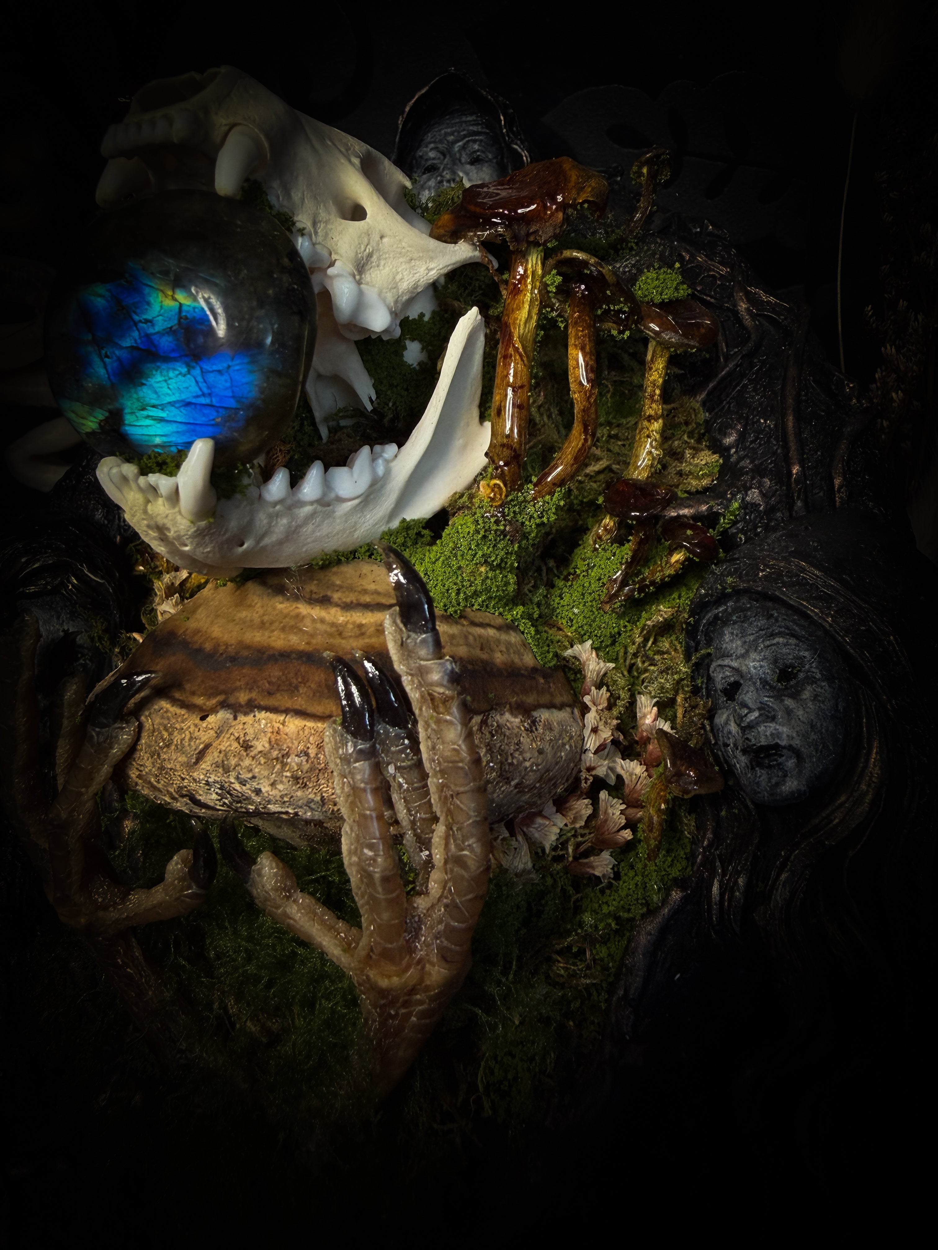 Forest Faun Calio | Woodland — handmade gothic wall decor with real marten skull, hand-carved ram horns, labradorite, preserved bird feet, moss and mushrooms sealed in resin, aged hand-cast frame, 20x15cm