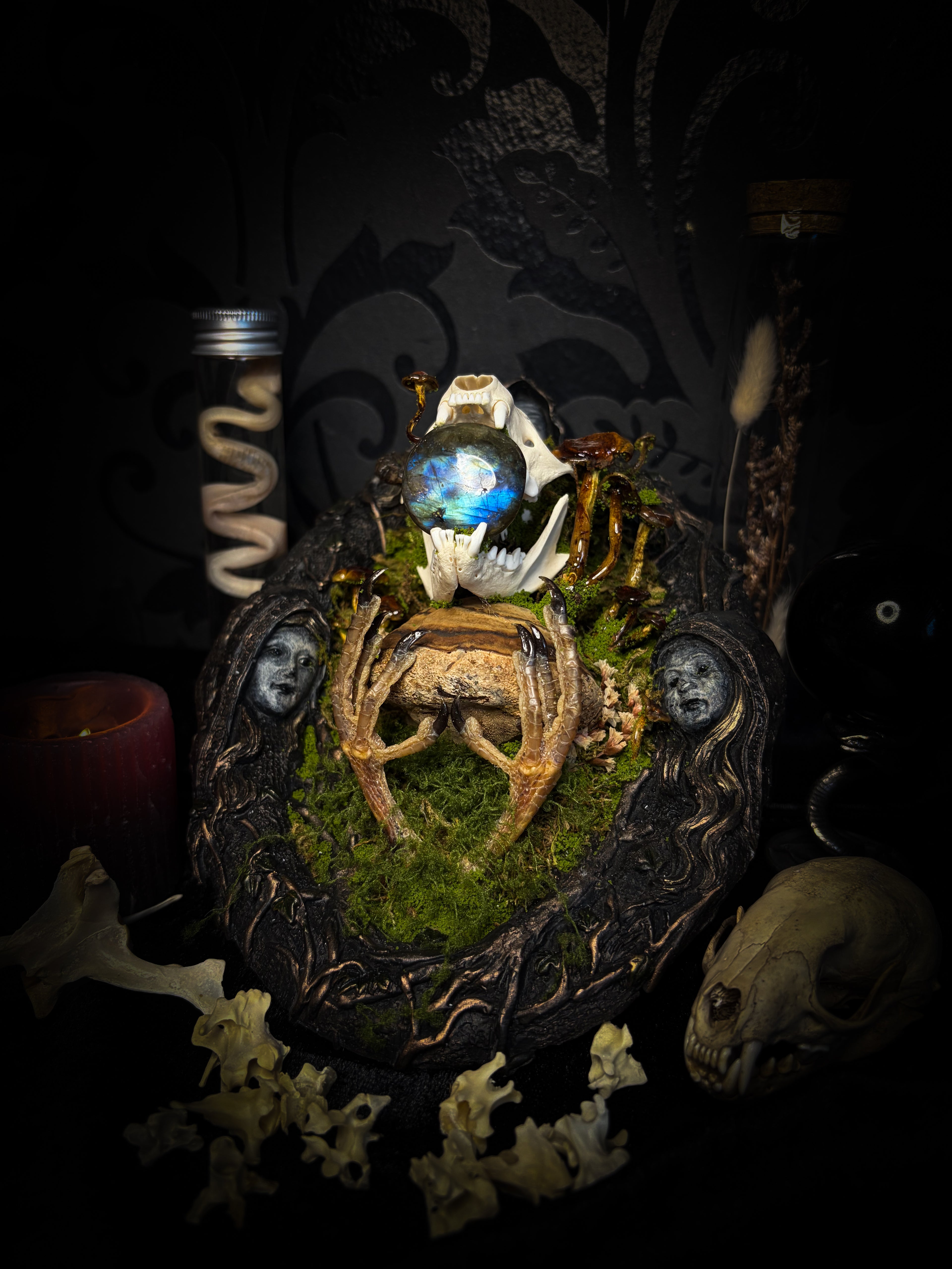 Forest Faun Calio | Woodland — handmade gothic wall decor with real marten skull, hand-carved ram horns, labradorite, preserved bird feet, moss and mushrooms sealed in resin, aged hand-cast frame, 20x15cm