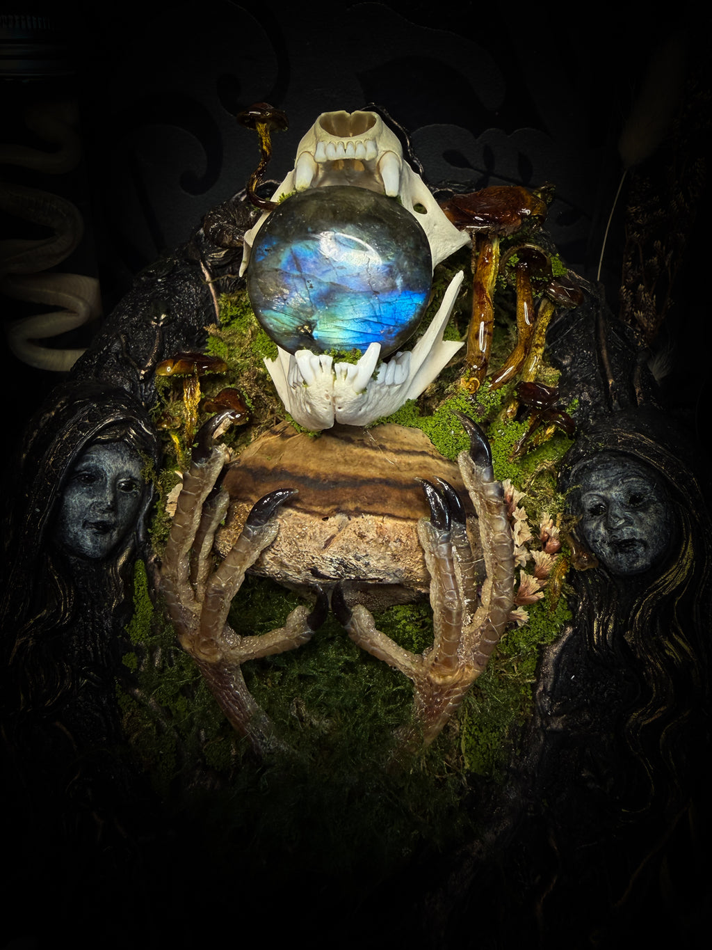 Forest Faun Calio | Woodland — handmade gothic wall decor with real marten skull, hand-carved ram horns, labradorite, preserved bird feet, moss and mushrooms sealed in resin, aged hand-cast frame, 20x15cm