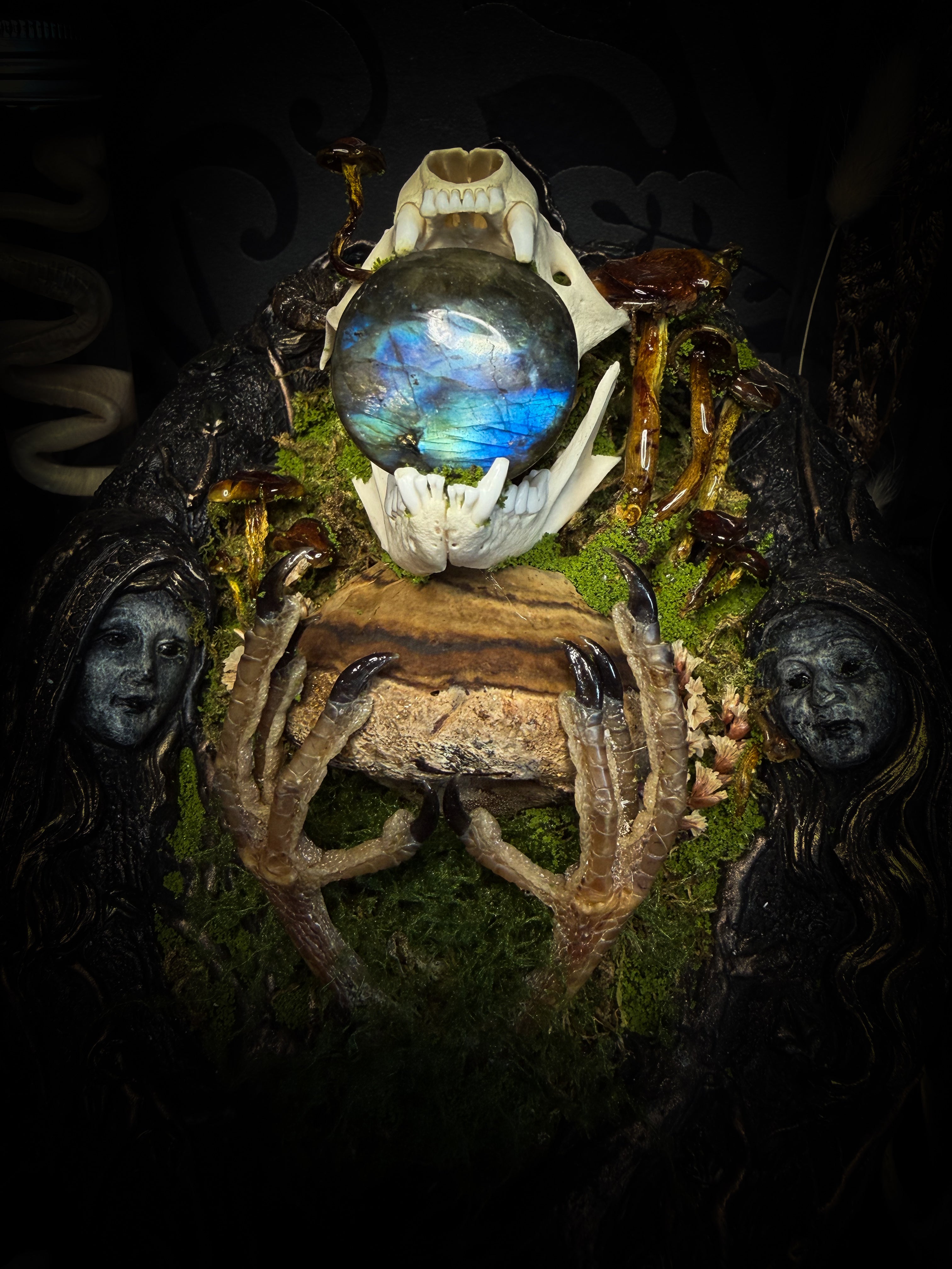 Forest Faun Calio | Woodland — handmade gothic wall decor with real marten skull, hand-carved ram horns, labradorite, preserved bird feet, moss and mushrooms sealed in resin, aged hand-cast frame, 20x15cm