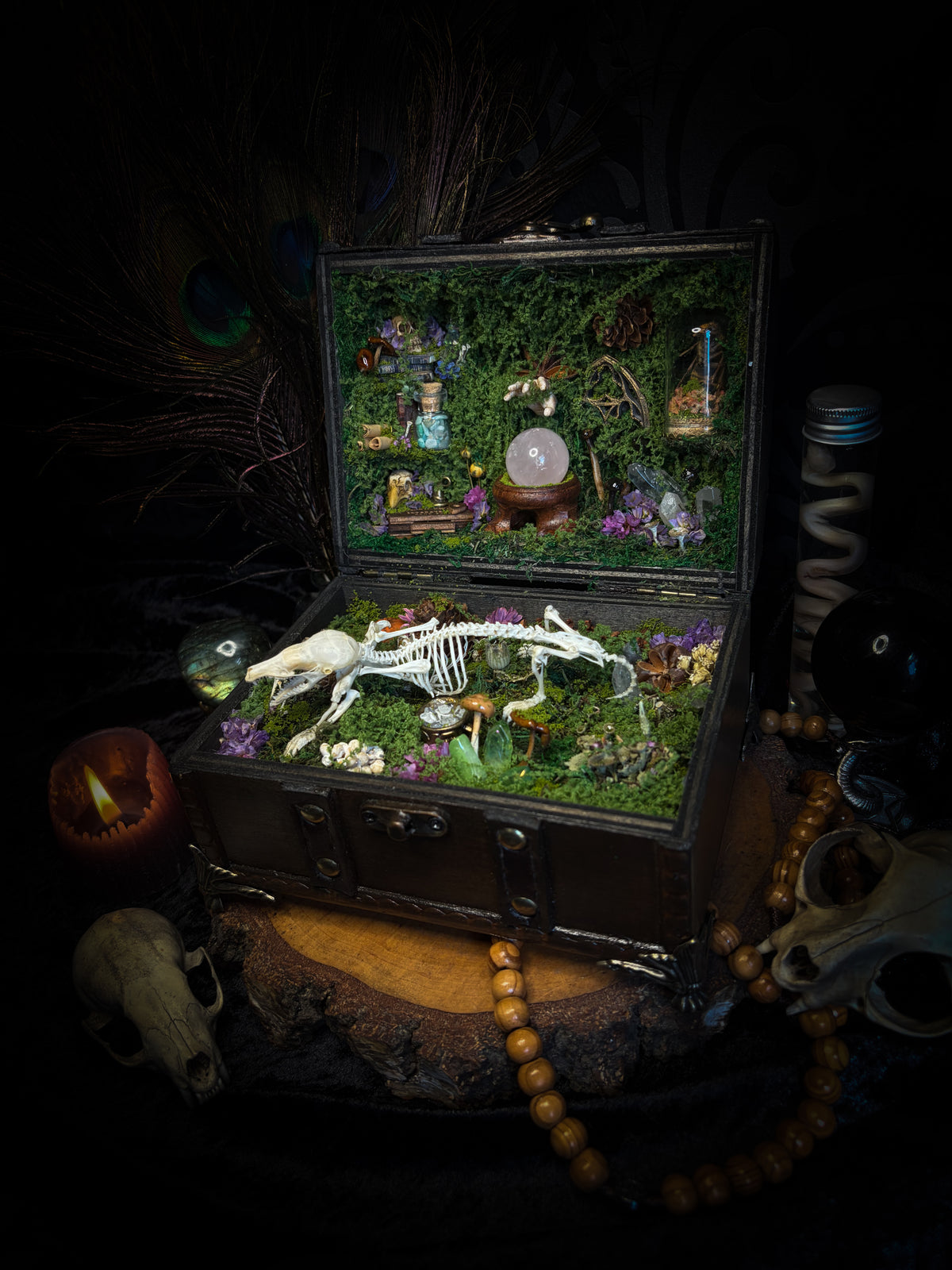 Peculiar Alchemist — one-of-a-kind handmade witchy fairycore reliquary in a hand-stained wooden cabinet with a mole skeleton, preserved hornet, rose quartz orb, turquoise, miniature books, moss and alchemical curiosities.