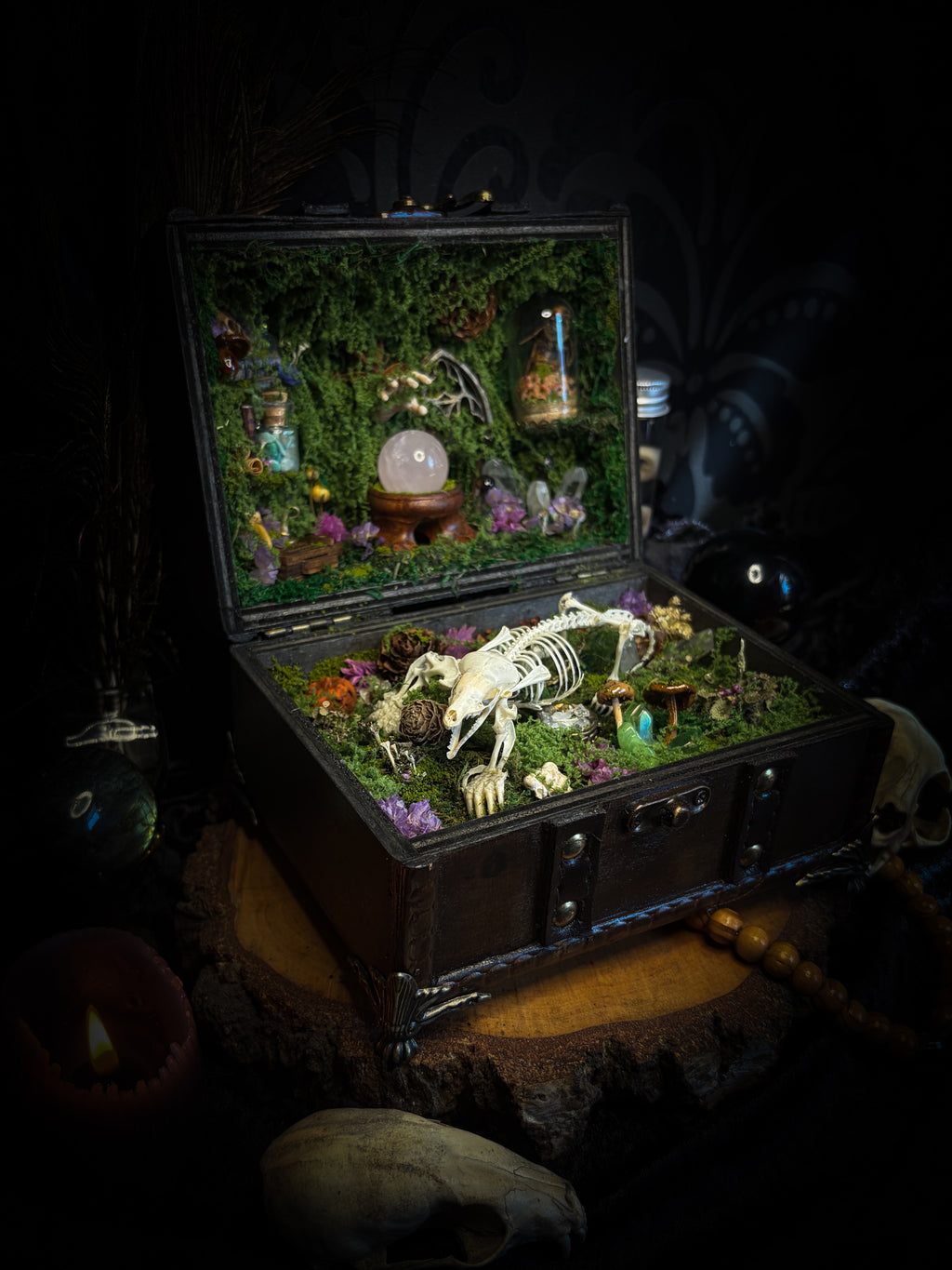 Peculiar Alchemist — one-of-a-kind handmade witchy fairycore reliquary in a hand-stained wooden cabinet with a mole skeleton, preserved hornet, rose quartz orb, turquoise, miniature books, moss and alchemical curiosities.