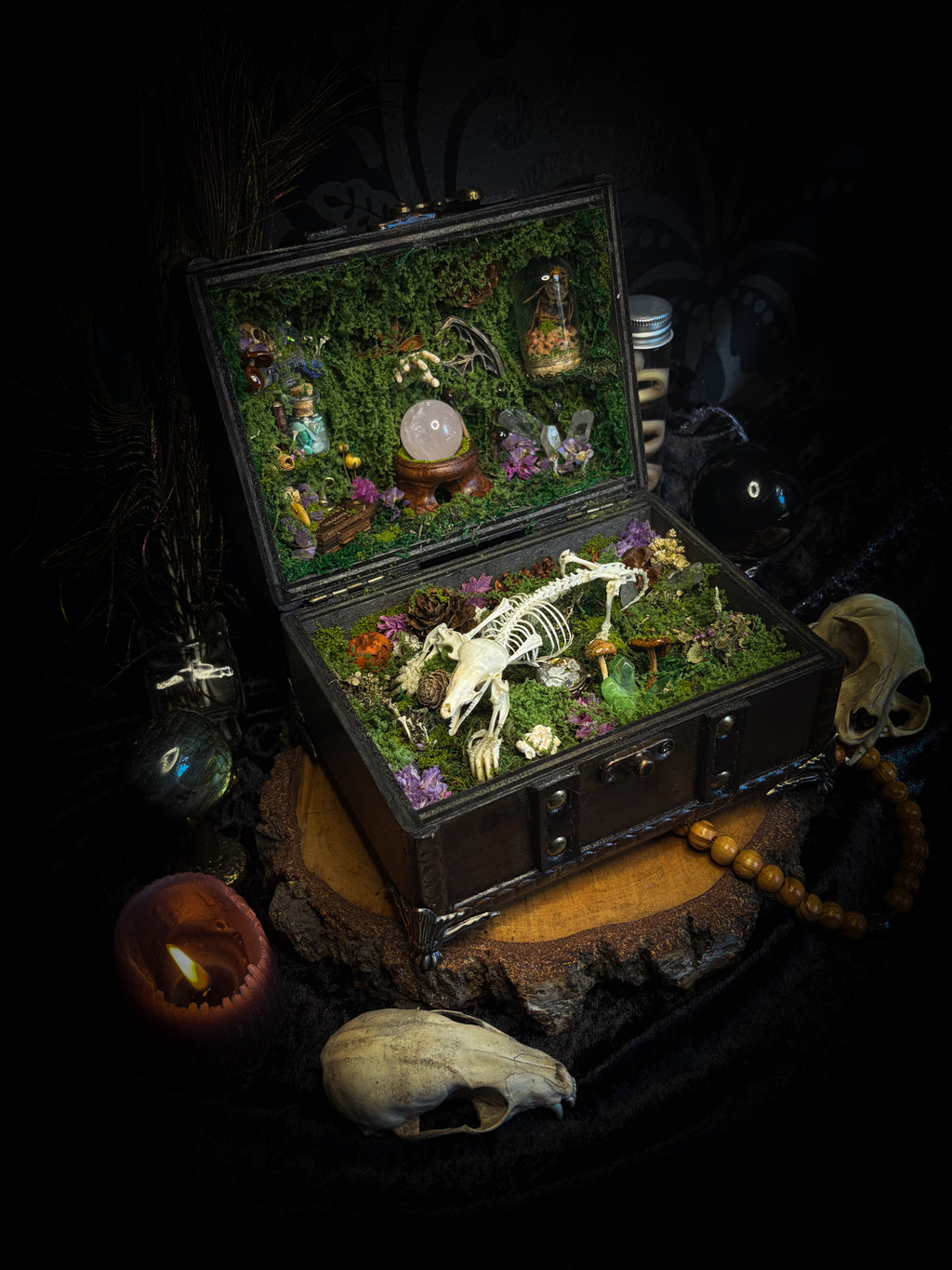 Peculiar Alchemist — one-of-a-kind handmade witchy fairycore reliquary in a hand-stained wooden cabinet with a mole skeleton, preserved hornet, rose quartz orb, turquoise, miniature books, moss and alchemical curiosities.