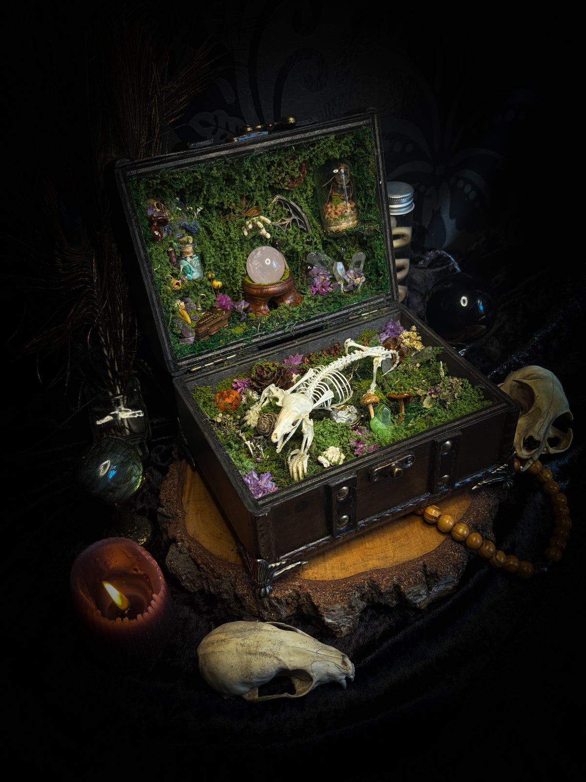 Peculiar Alchemist — one-of-a-kind handmade witchy fairycore reliquary in a hand-stained wooden cabinet with a mole skeleton, preserved hornet, rose quartz orb, turquoise, miniature books, moss and alchemical curiosities.