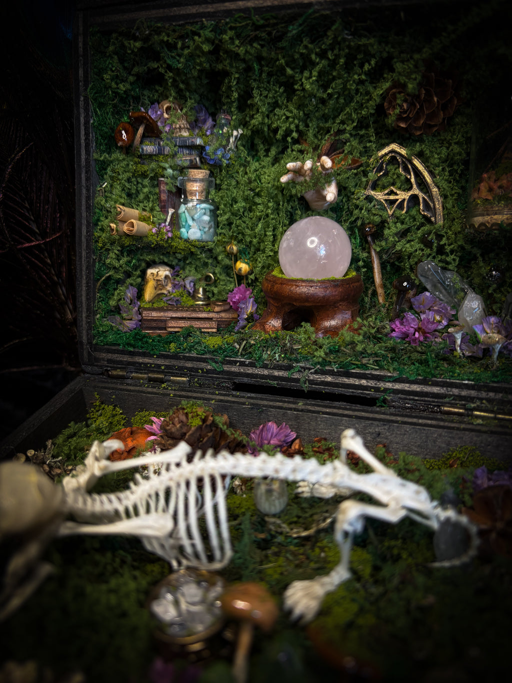 Peculiar Alchemist — one-of-a-kind handmade witchy fairycore reliquary in a hand-stained wooden cabinet with a mole skeleton, preserved hornet, rose quartz orb, turquoise, miniature books, moss and alchemical curiosities.