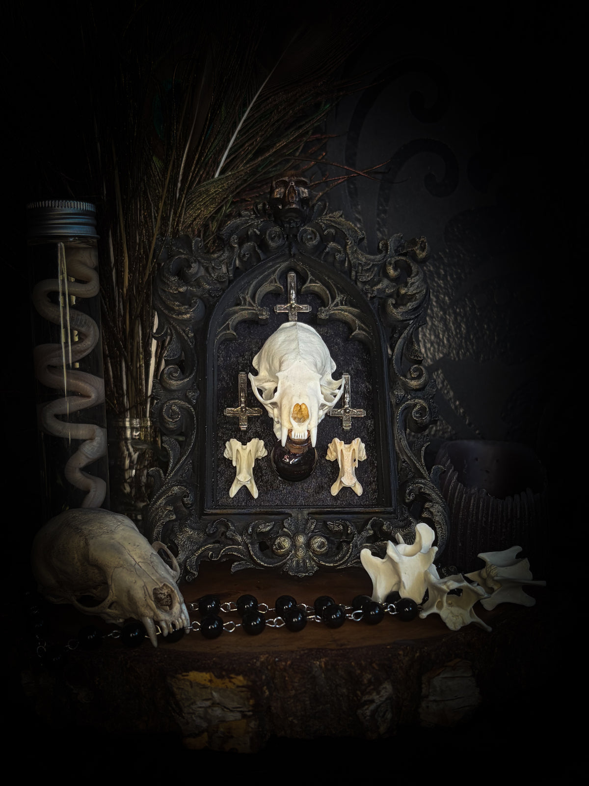 The Last Sacrament gothic frame with a mink skull, “blood” vial, two bird vertebrae and three inverted crosses on black velvet.