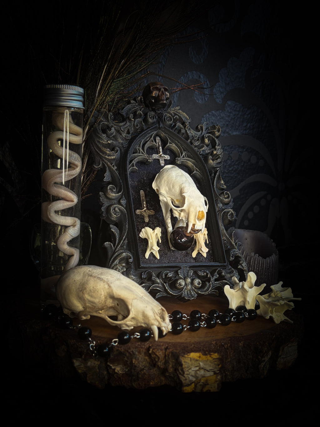 The Last Sacrament gothic frame with a mink skull, “blood” vial, two bird vertebrae and three inverted crosses on black velvet.