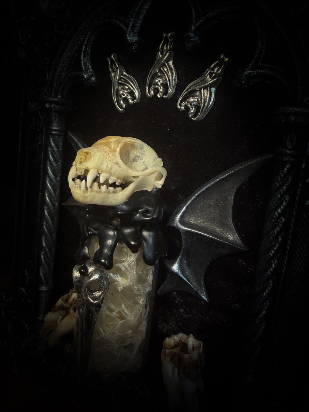 Vesper Vessel gothic black and silver frame with a bat skull, snake skin vial, vampire-style wings and roe deer teeth on black velvet.