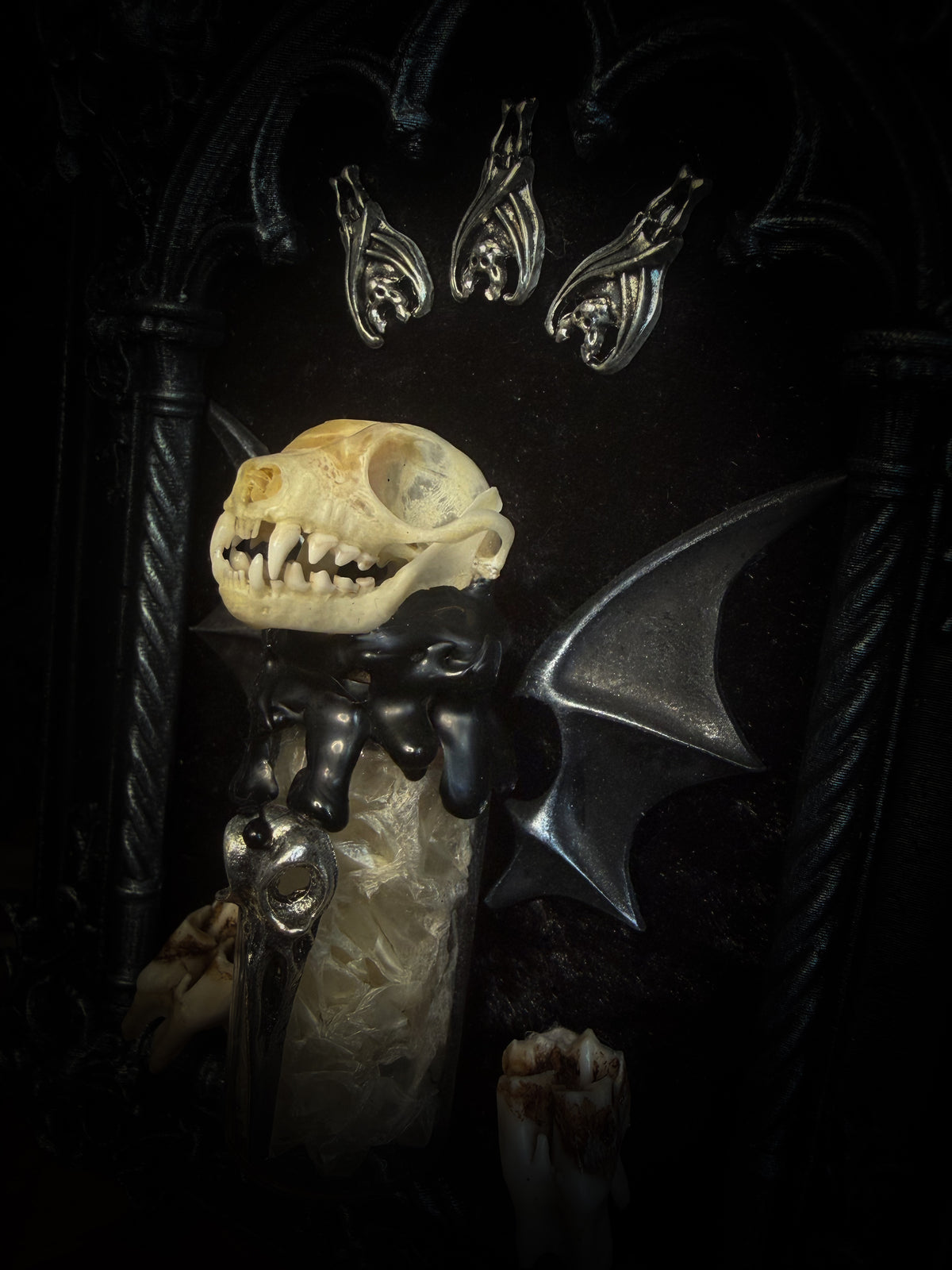Vesper Vessel gothic black and silver frame with a bat skull, snake skin vial, vampire-style wings and roe deer teeth on black velvet.