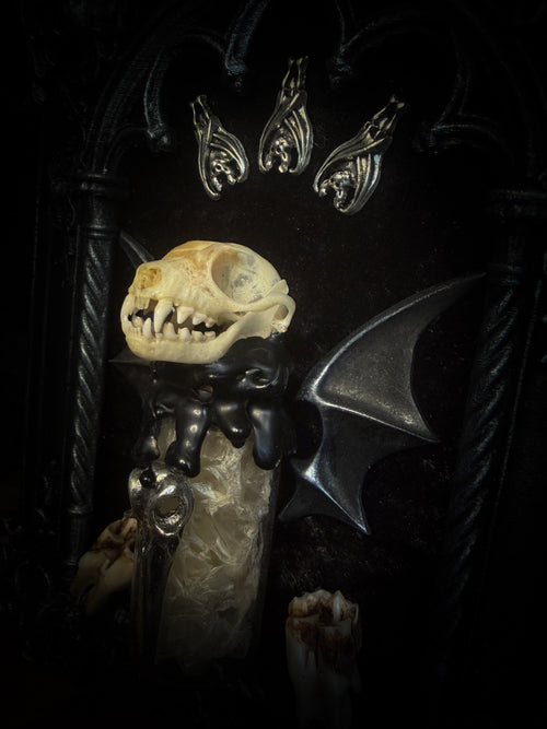 Vesper Vessel gothic black and silver frame with a bat skull, snake skin vial, vampire-style wings and roe deer teeth on black velvet.