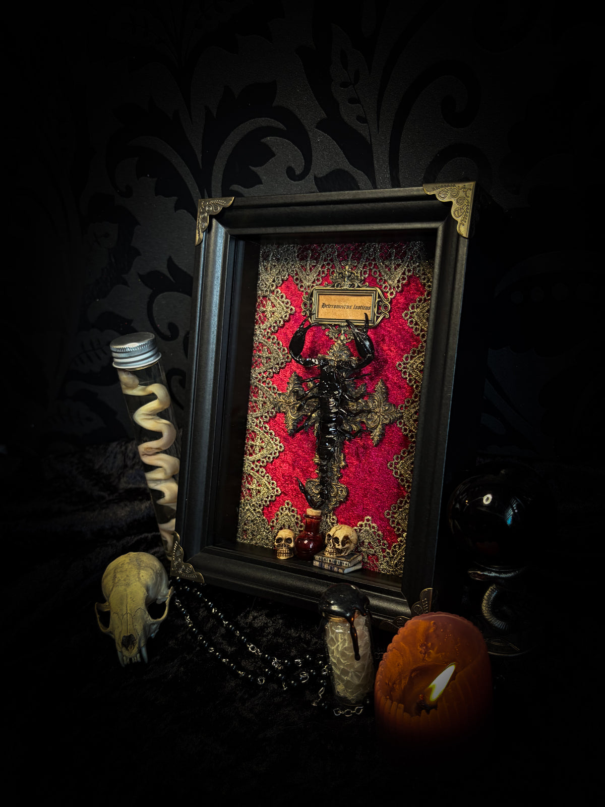 Venosa: preserved scorpion over a hand-cast painted cross on red velvet, with gold lace, hand-painted miniature skulls, books and a decorative blood vial in a dark shadowbox.