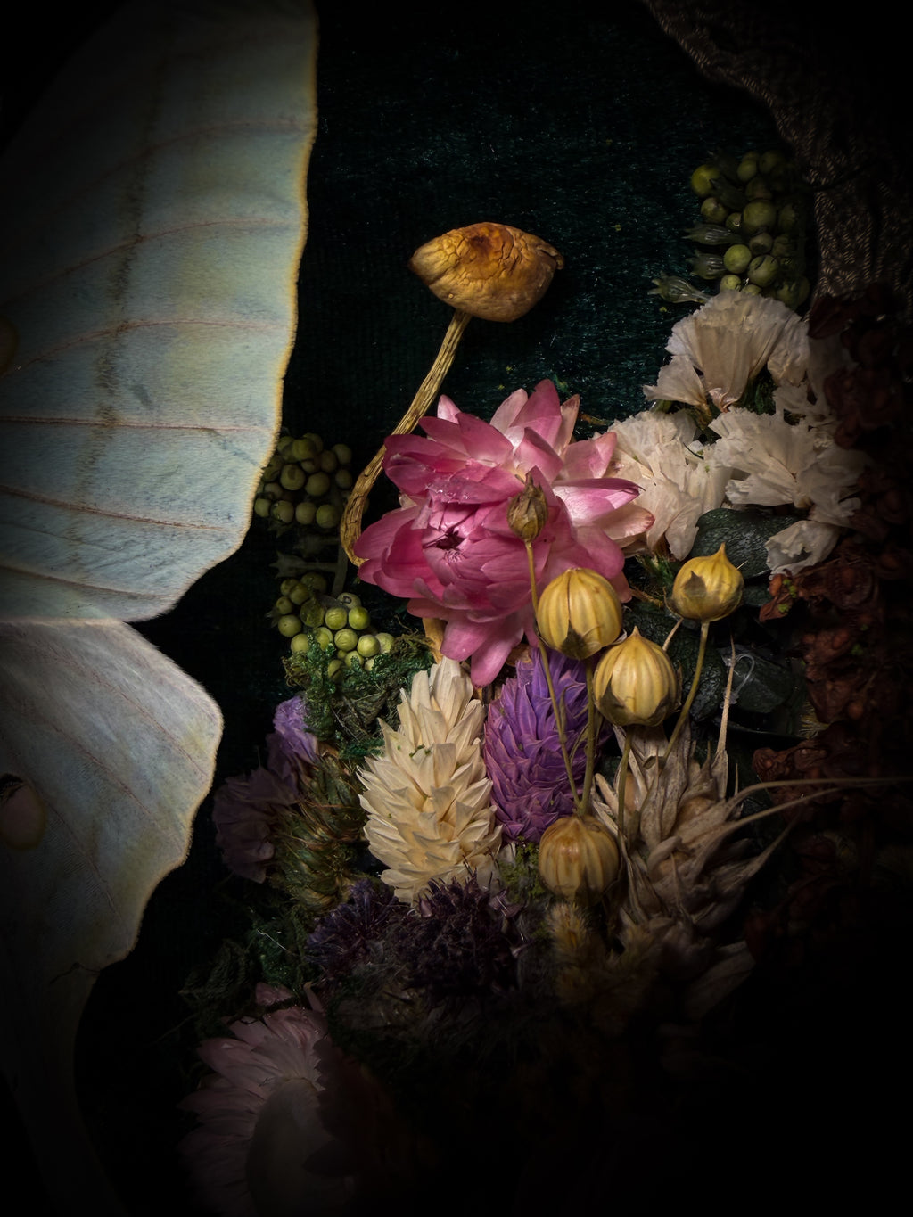 The Moonlit Gardener: Actias selene moth with an ornate sword, moss agate moon and dried flowers on green velvet in a handmade pointed wooden shadowbox.