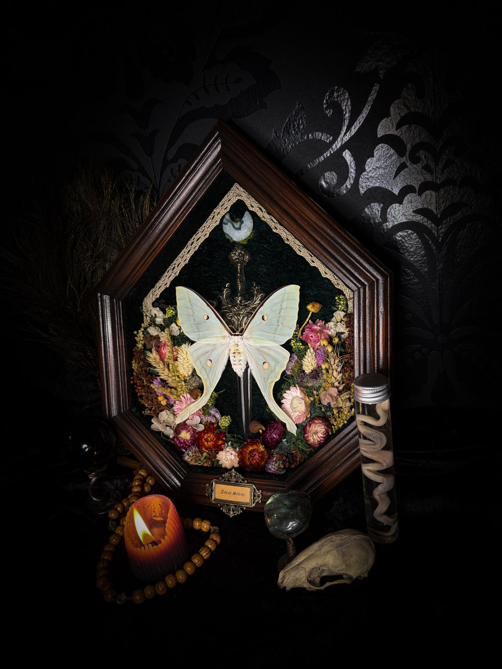 The Moonlit Gardener: Actias selene moth with an ornate sword, moss agate moon and dried flowers on green velvet in a handmade pointed wooden shadowbox.