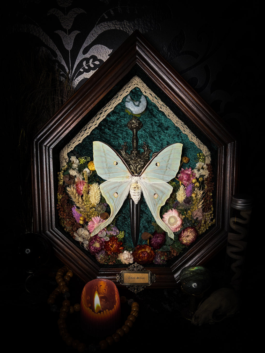 The Moonlit Gardener: Actias selene moth with an ornate sword, moss agate moon and dried flowers on green velvet in a handmade pointed wooden shadowbox.