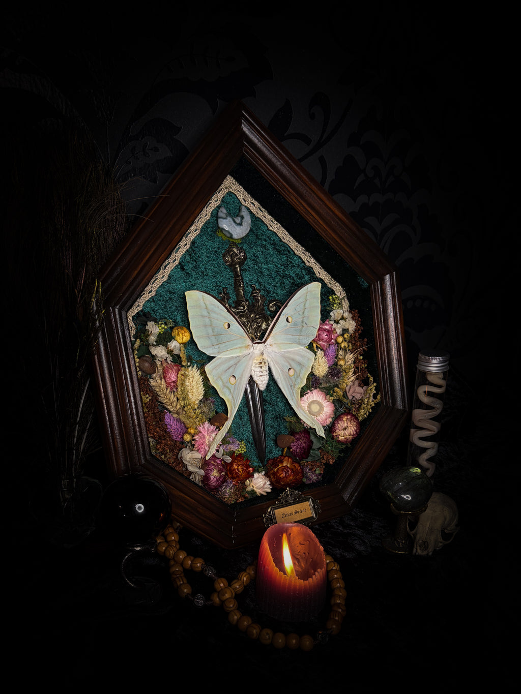 The Moonlit Gardener: Actias selene moth with an ornate sword, moss agate moon and dried flowers on green velvet in a handmade pointed wooden shadowbox.