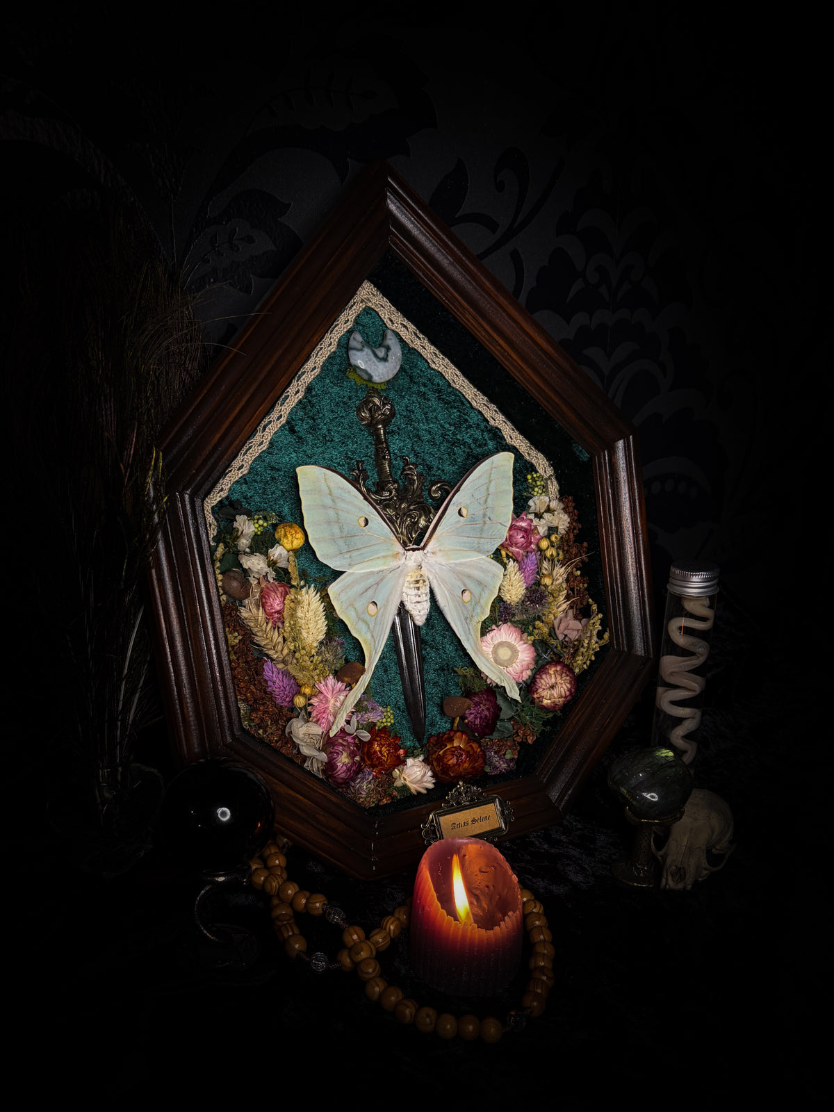 The Moonlit Gardener: Actias selene moth with an ornate sword, moss agate moon and dried flowers on green velvet in a handmade pointed wooden shadowbox.