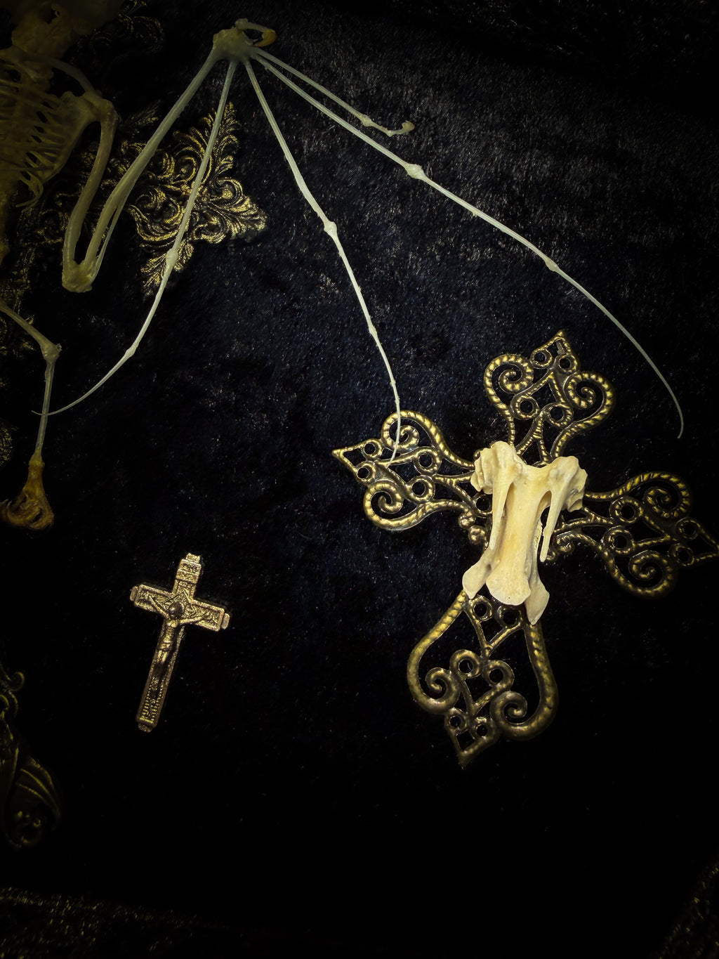 Crux Noctis: two-headed bat skeleton on velvet with a hand-cast painted cross, two small crucifixes and two vertebra-decorated crosses in a handmade shadowbox.