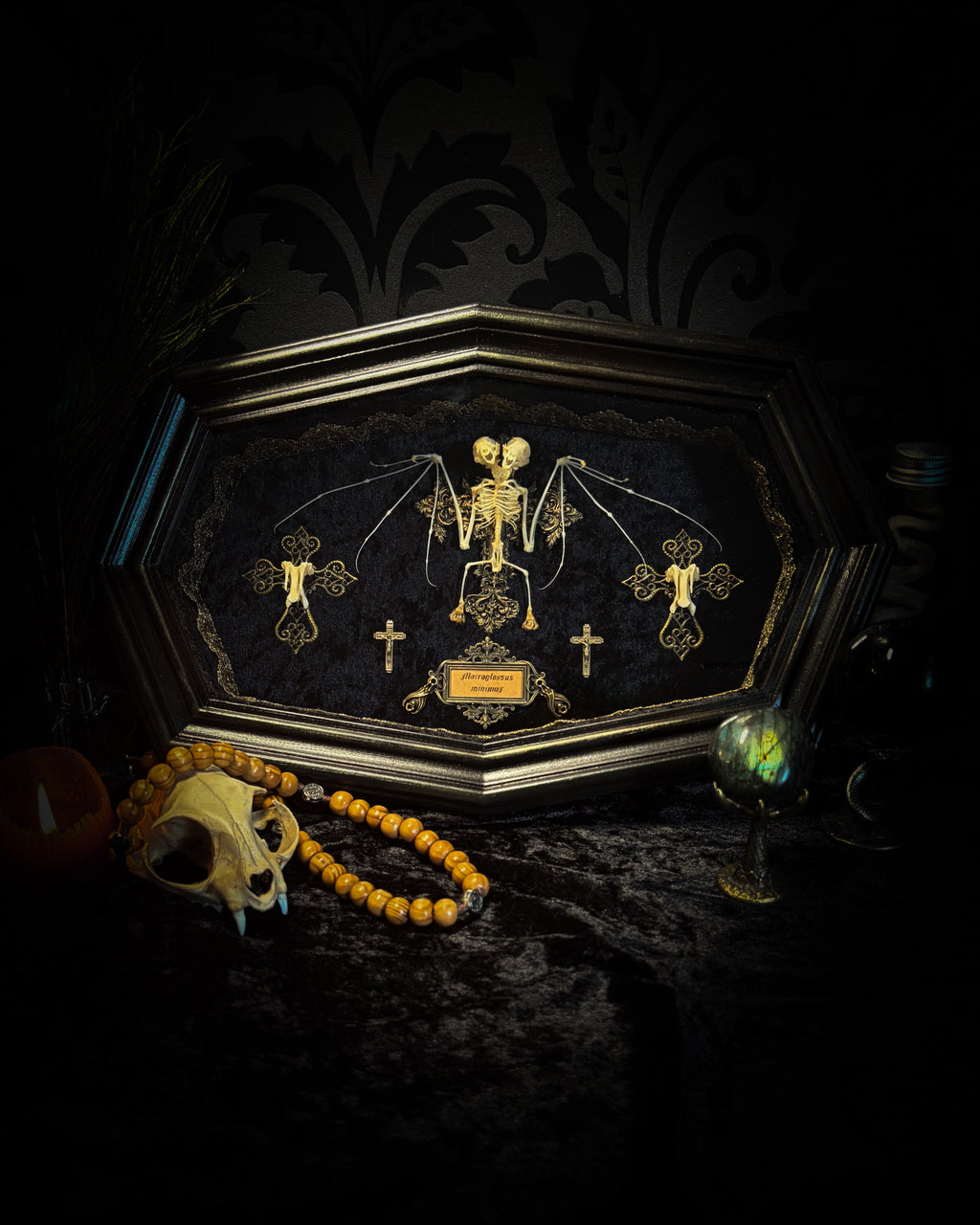 Crux Noctis: two-headed bat skeleton on velvet with a hand-cast painted cross, two small crucifixes and two vertebra-decorated crosses in a handmade shadowbox.