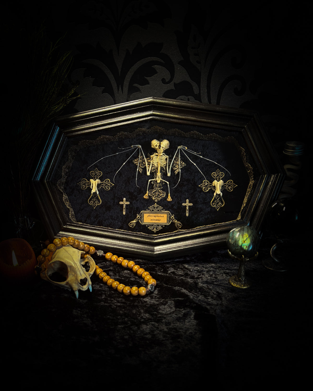 Crux Noctis: two-headed bat skeleton on velvet with a hand-cast painted cross, two small crucifixes and two vertebra-decorated crosses in a handmade shadowbox.