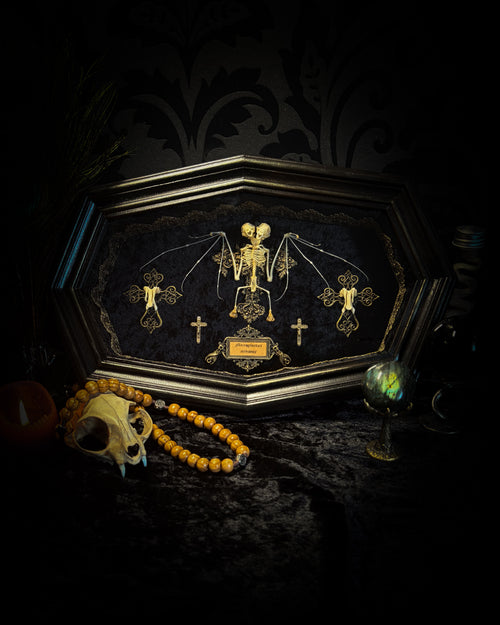 Crux Noctis: two-headed bat skeleton on velvet with a hand-cast painted cross, two small crucifixes and two vertebra-decorated crosses in a handmade shadowbox.