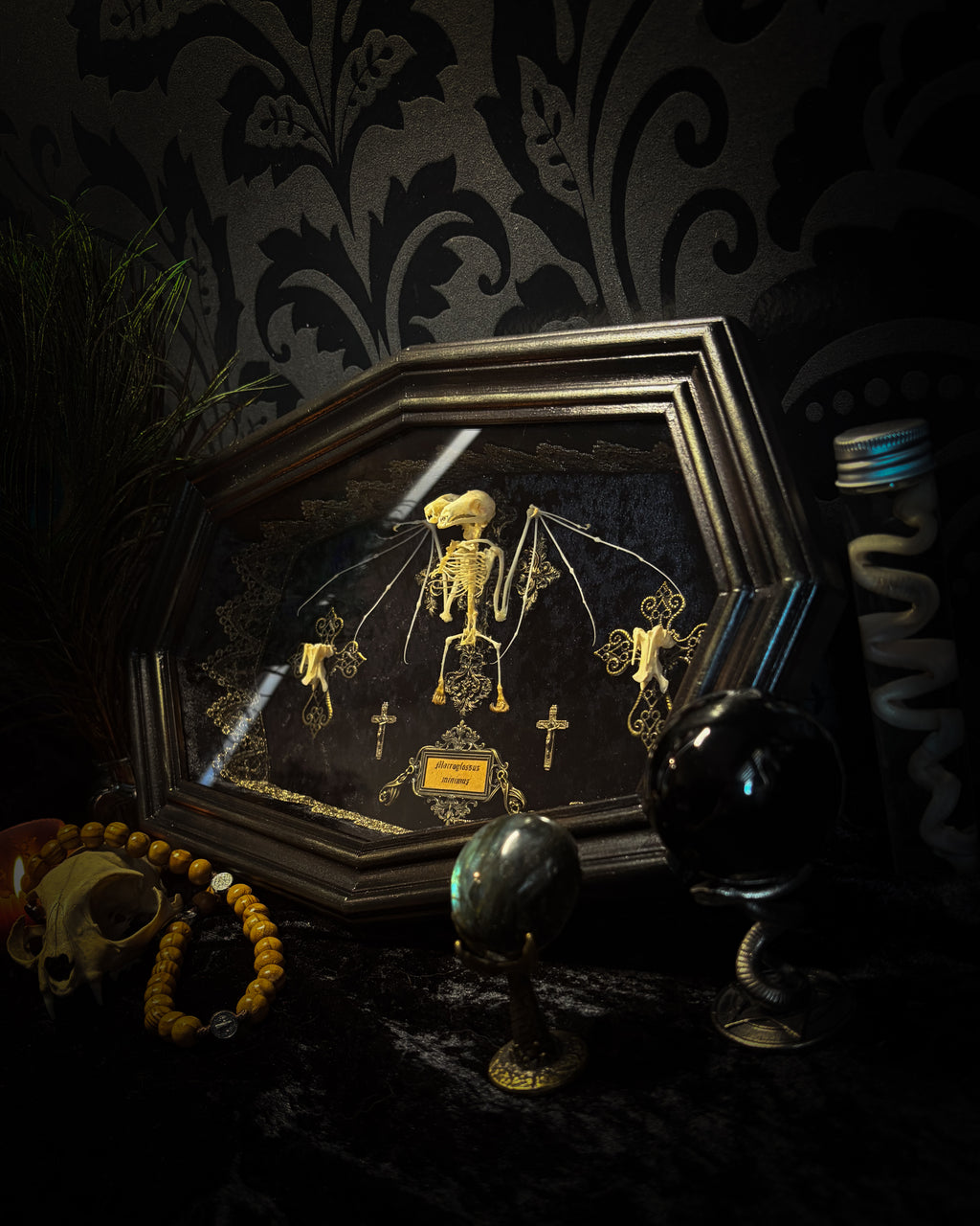 Crux Noctis: two-headed bat skeleton on velvet with a hand-cast painted cross, two small crucifixes and two vertebra-decorated crosses in a handmade shadowbox.