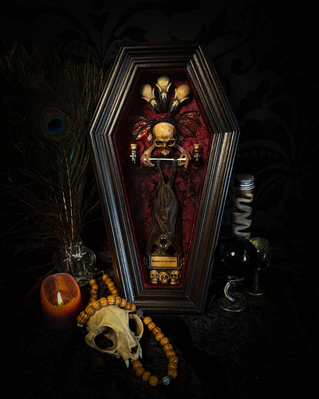 Sanguis Aeternus: mummified bat in a handmade wooden coffin with burgundy velvet, a hooded winged vampire skull, raven skull ornaments and decorative blood vials.


