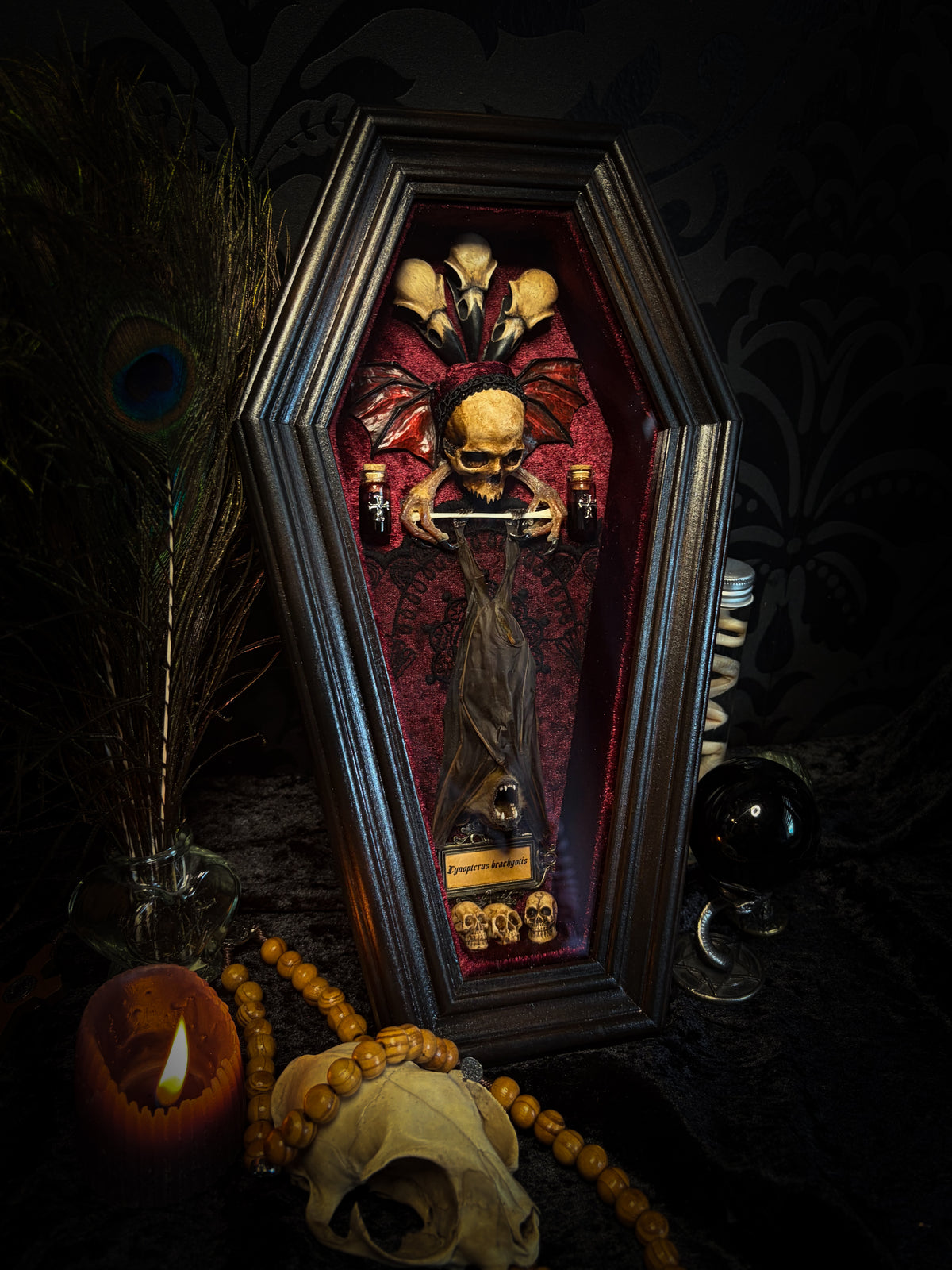 Sanguis Aeternus: mummified bat in a handmade wooden coffin with burgundy velvet, a hooded winged vampire skull, raven skull ornaments and decorative blood vials.

