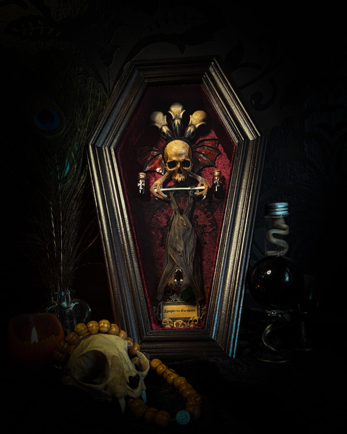 Sanguis Aeternus: mummified bat in a handmade wooden coffin with burgundy velvet, a hooded winged vampire skull, raven skull ornaments and decorative blood vials.

