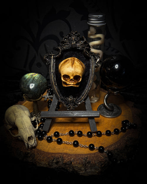 Little Vigil by Morbid Oddities, a patinated skull cast on black velvet in an ornate dark shield-shaped frame with aged metallic detailing.