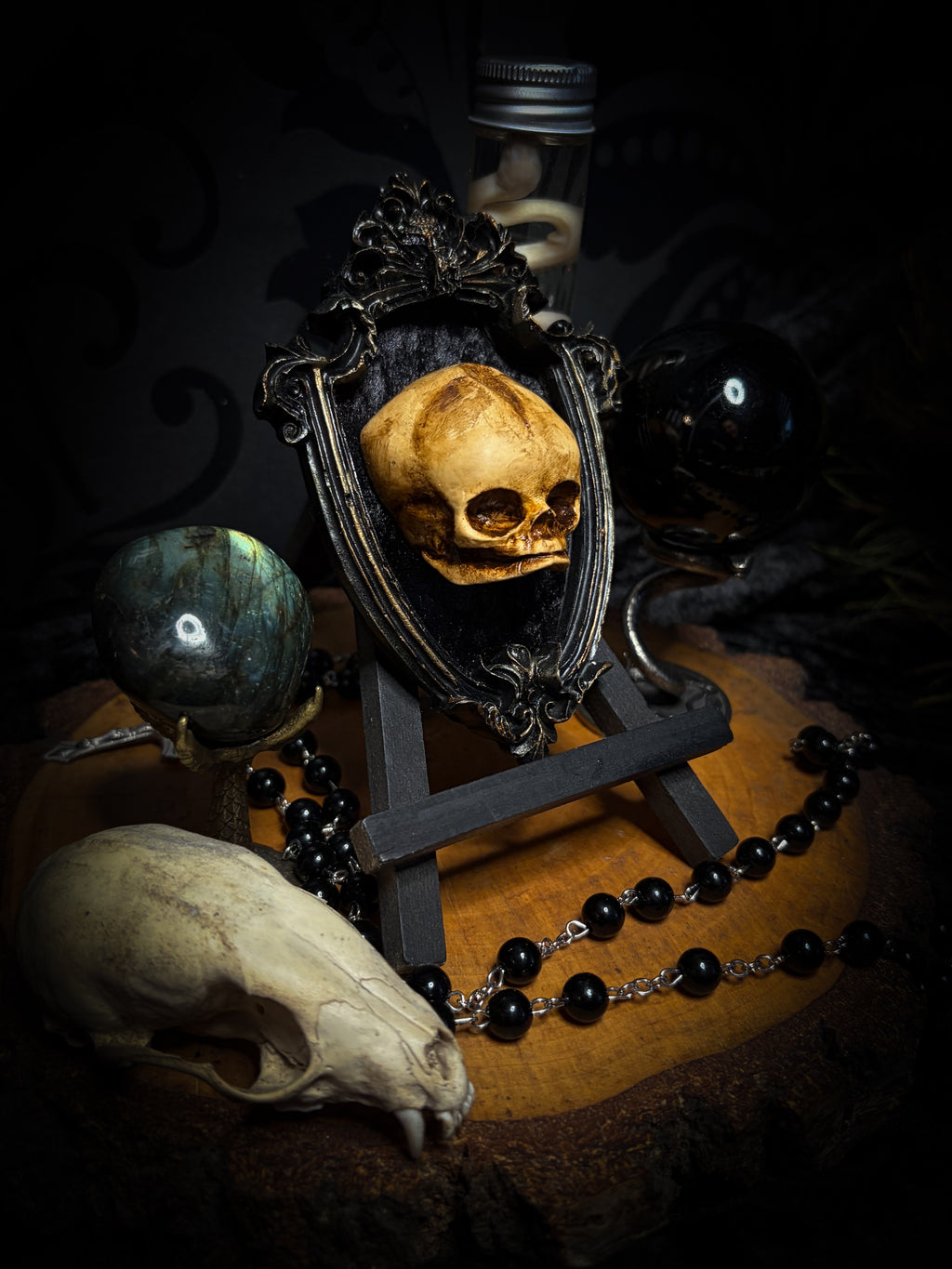 Little Vigil by Morbid Oddities, a patinated skull cast on black velvet in an ornate dark shield-shaped frame with aged metallic detailing.⠋

