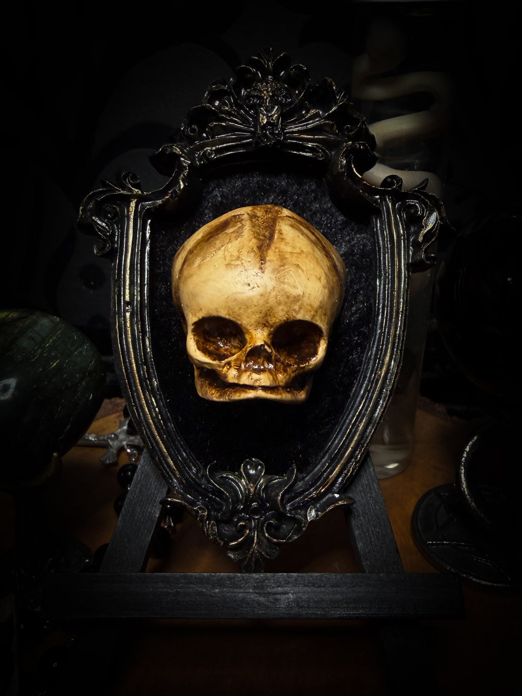 Little Vigil by Morbid Oddities, a patinated skull cast on black velvet in an ornate dark shield-shaped frame with aged metallic detailing.⠋

