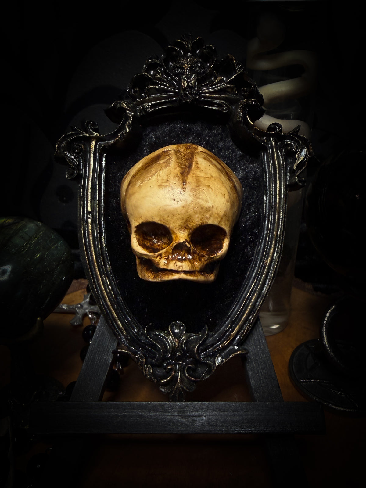Little Vigil by Morbid Oddities, a patinated skull cast on black velvet in an ornate dark shield-shaped frame with aged metallic detailing.⠋

