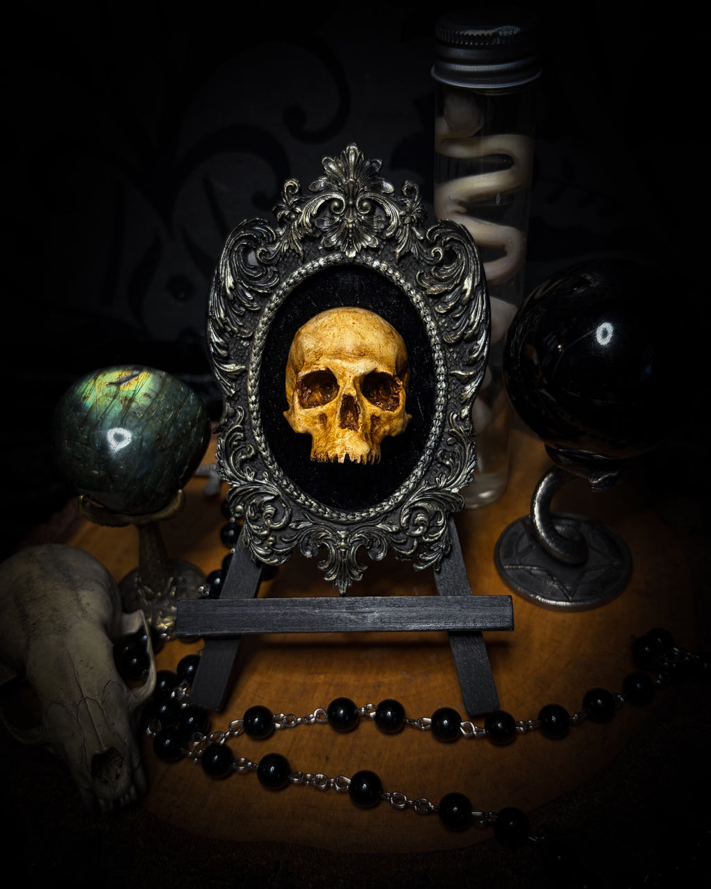 The Gilded Remnant by Morbid Oddities, a warm aged cast skull on black velvet in an ornate black oval frame with silver detailing.⠋