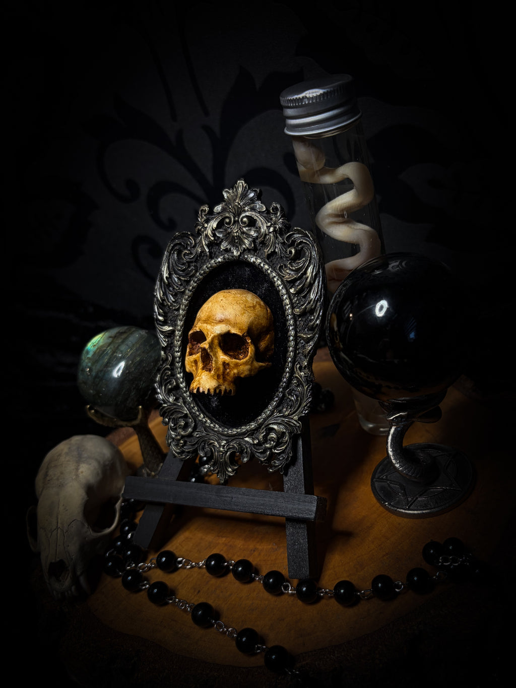 The Gilded Remnant by Morbid Oddities, a warm aged cast skull on black velvet in an ornate black oval frame with silver detailing.⠋
