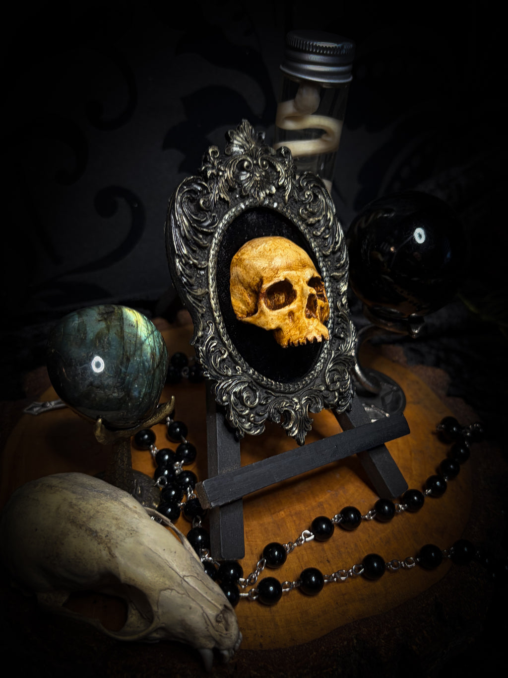 The Gilded Remnant by Morbid Oddities, a warm aged cast skull on black velvet in an ornate black oval frame with silver detailing.⠋