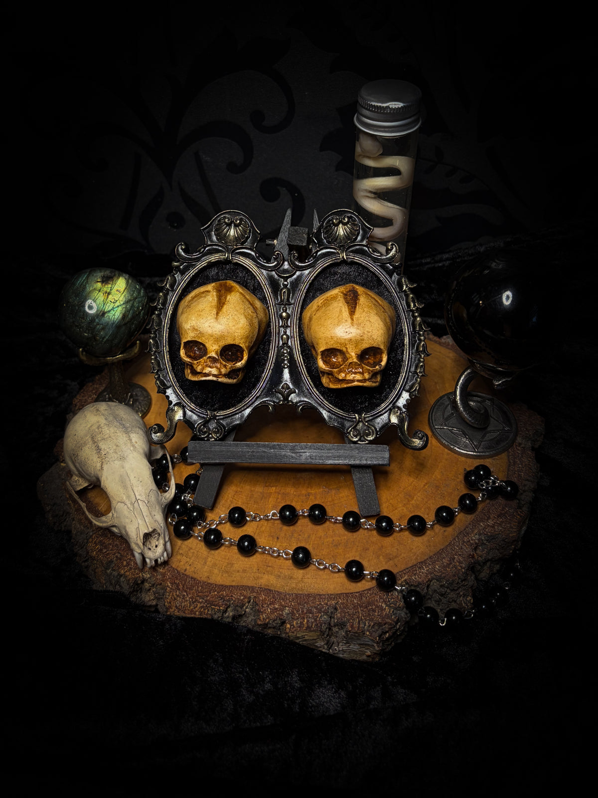Kindred Remains by Morbid Oddities, two patinated newborn skull casts on black velvet in an ornate black double frame with golden detailing.