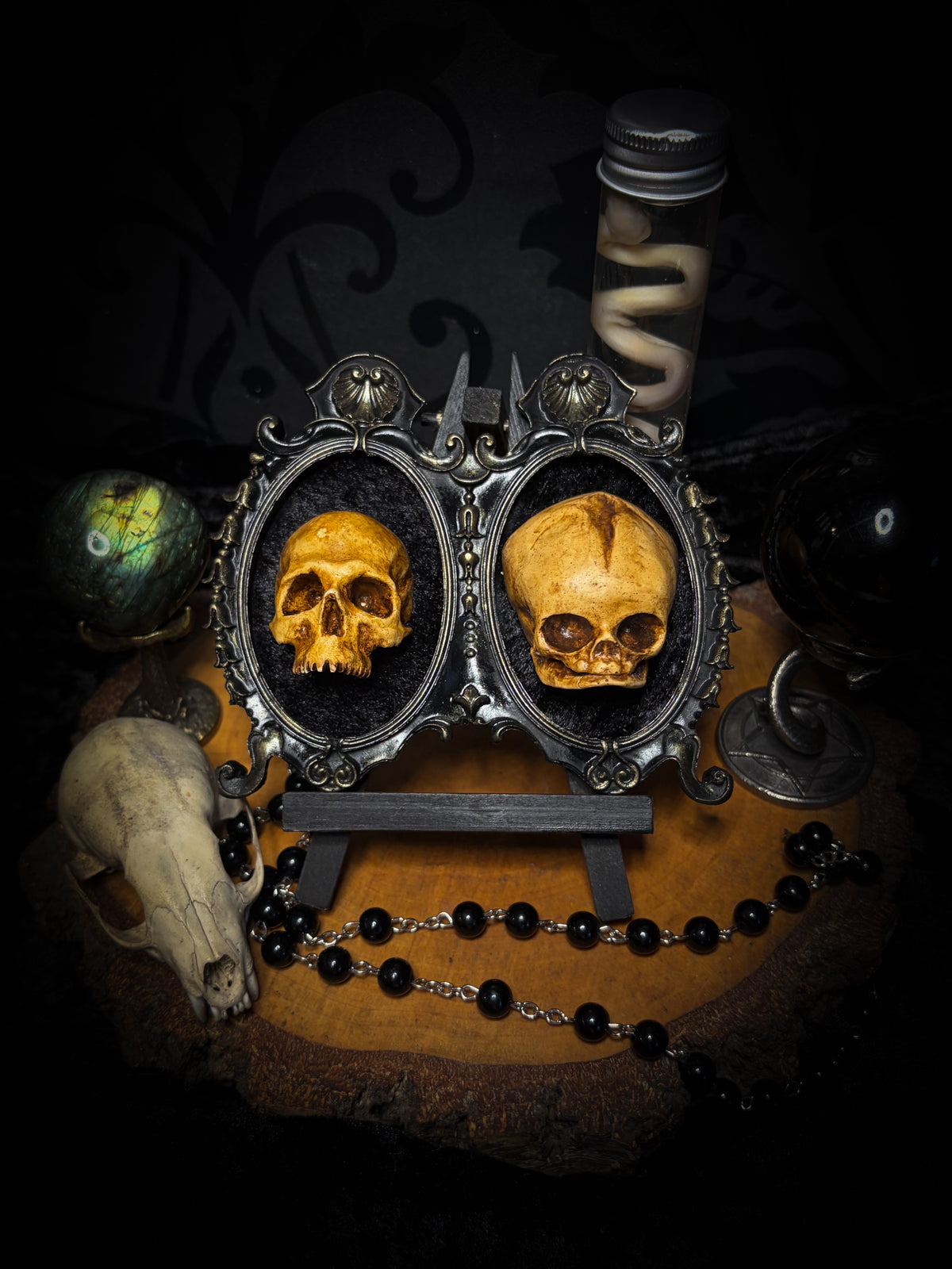 Kindred Remains by Morbid Oddities, a handmade gothic double frame with cast skulls on velvet, available with newborn skulls, adult skulls or a mixed pair