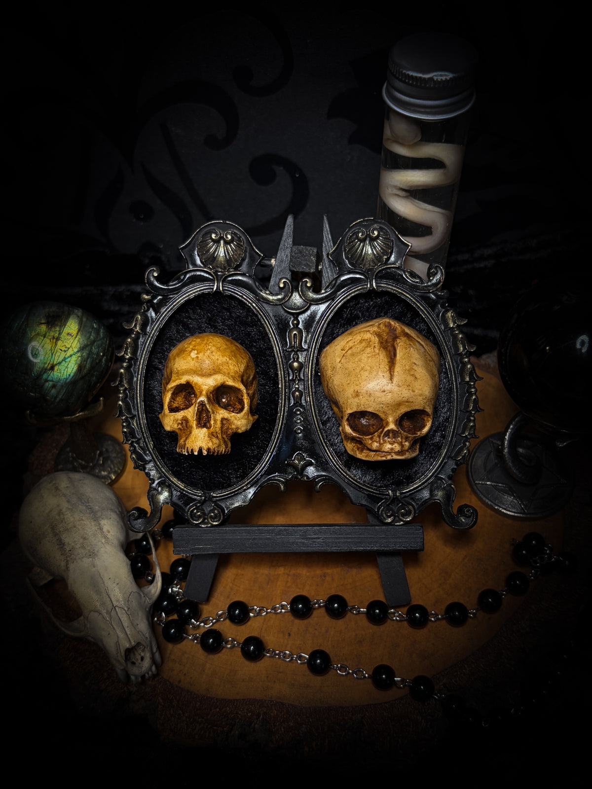 Kindred Remains by Morbid Oddities, a handmade gothic double frame with cast skulls on velvet, available with newborn skulls, adult skulls or a mixed pair