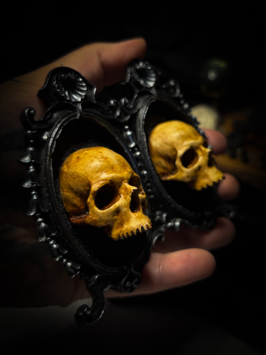 Ever After by Morbid Oddities, two patinated adult skull casts on black velvet in an ornate black double frame with silver detailing.