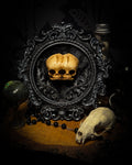 Conjoined Twins Big by Morbid Oddities, patinated conjoined infant skull casts on black velvet in an ornate black frame with silver detailing and two decorative flourishes beneath the skulls.⠋