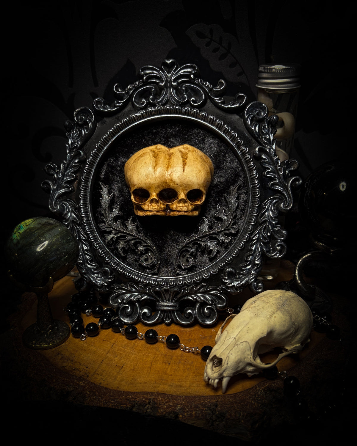 Conjoined Twins Big by Morbid Oddities, patinated conjoined infant skull casts on black velvet in an ornate black frame with silver detailing and two decorative flourishes beneath the skulls.⠋