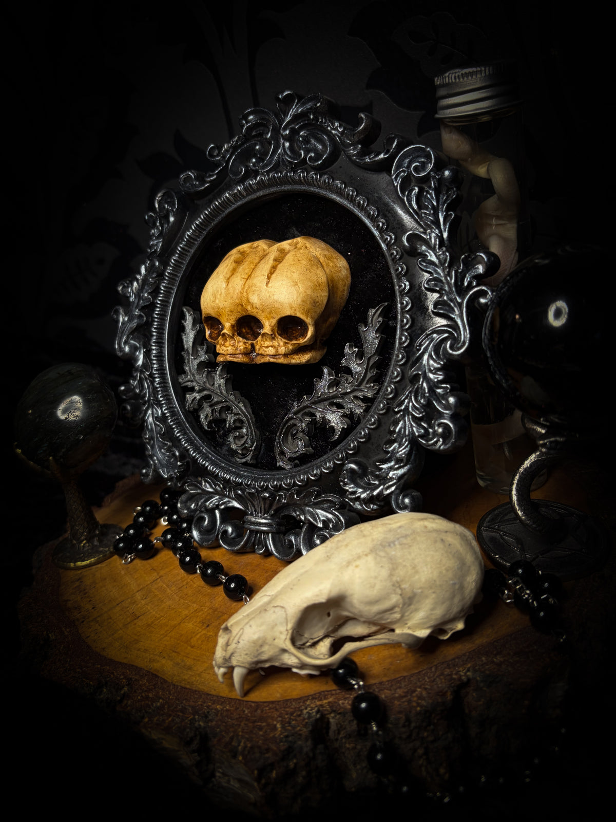 Conjoined Twins Big by Morbid Oddities, patinated conjoined infant skull casts on black velvet in an ornate black frame with silver detailing and two decorative flourishes beneath the skulls.⠋