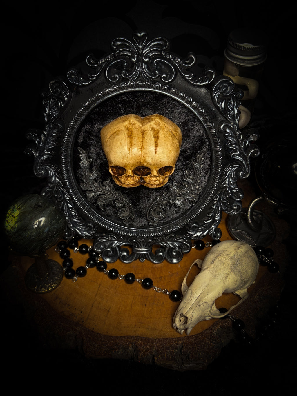Conjoined Twins Big by Morbid Oddities, patinated conjoined infant skull casts on black velvet in an ornate black frame with silver detailing and two decorative flourishes beneath the skulls.⠋