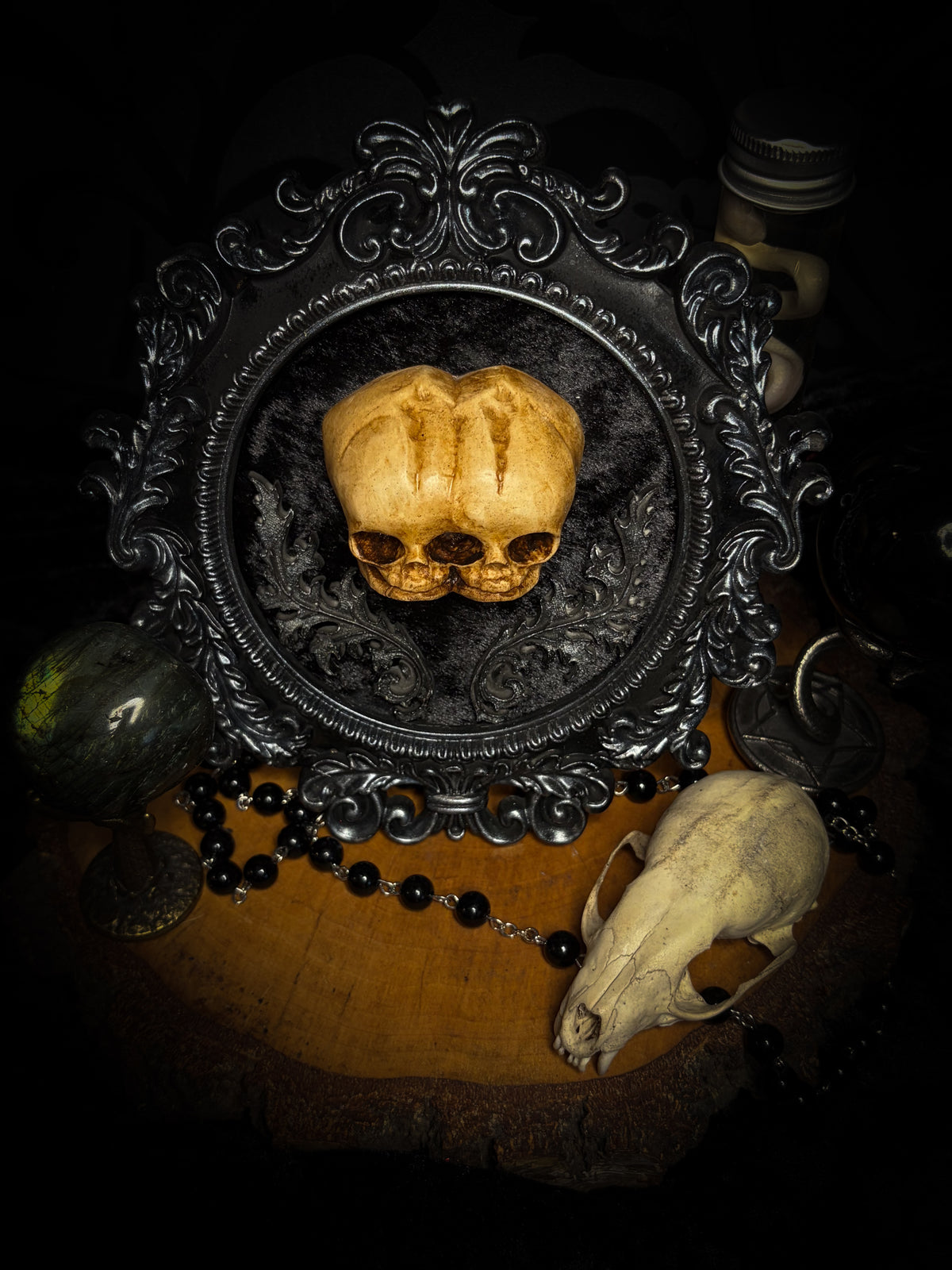 Conjoined Twins Big by Morbid Oddities, patinated conjoined infant skull casts on black velvet in an ornate black frame with silver detailing and two decorative flourishes beneath the skulls.⠋