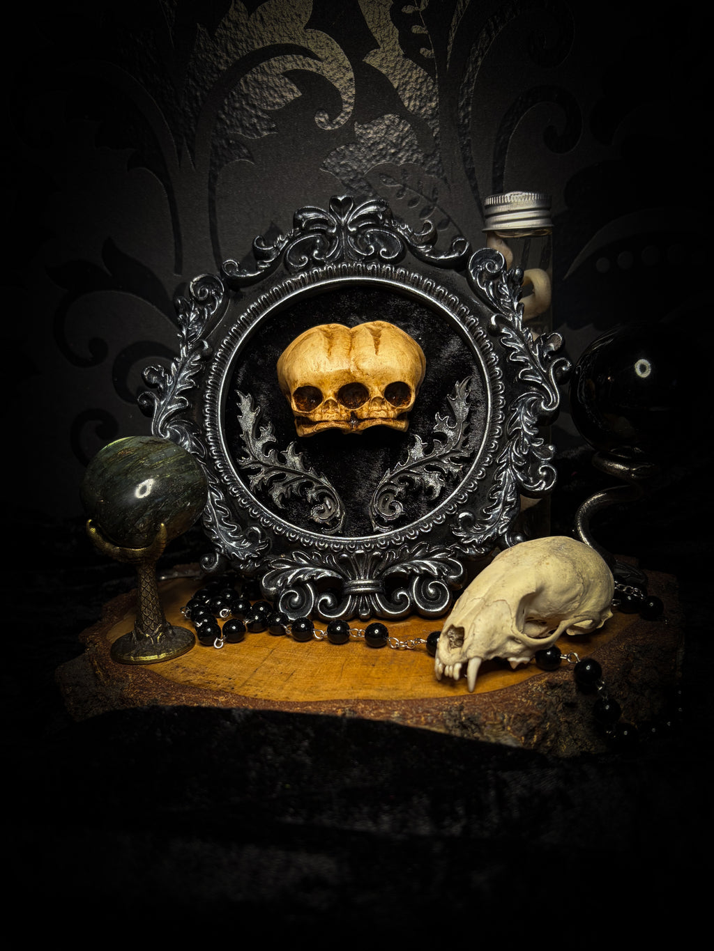 Conjoined Twins Big by Morbid Oddities, patinated conjoined infant skull casts on black velvet in an ornate black frame with silver detailing and two decorative flourishes beneath the skulls.⠋