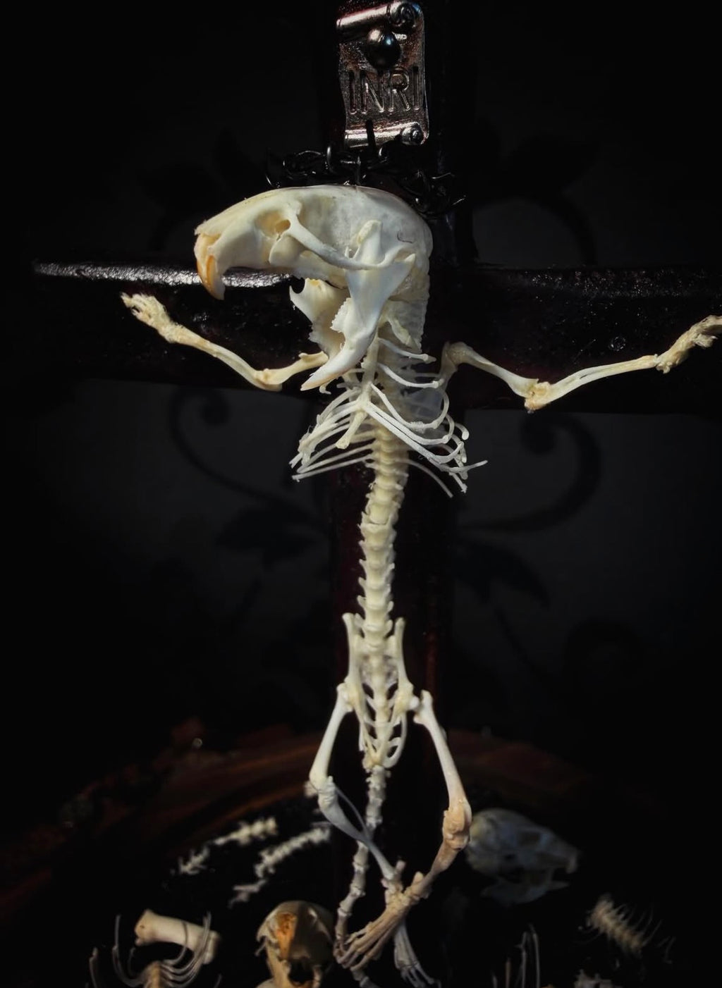 Crucifixa — handmade gothic glass dome display, made to order. Real mouse skeleton mounted on a cross under glass cloche on wooden base with occult elements, decorative bones and skeletal details. Dark ritual shrine decor.