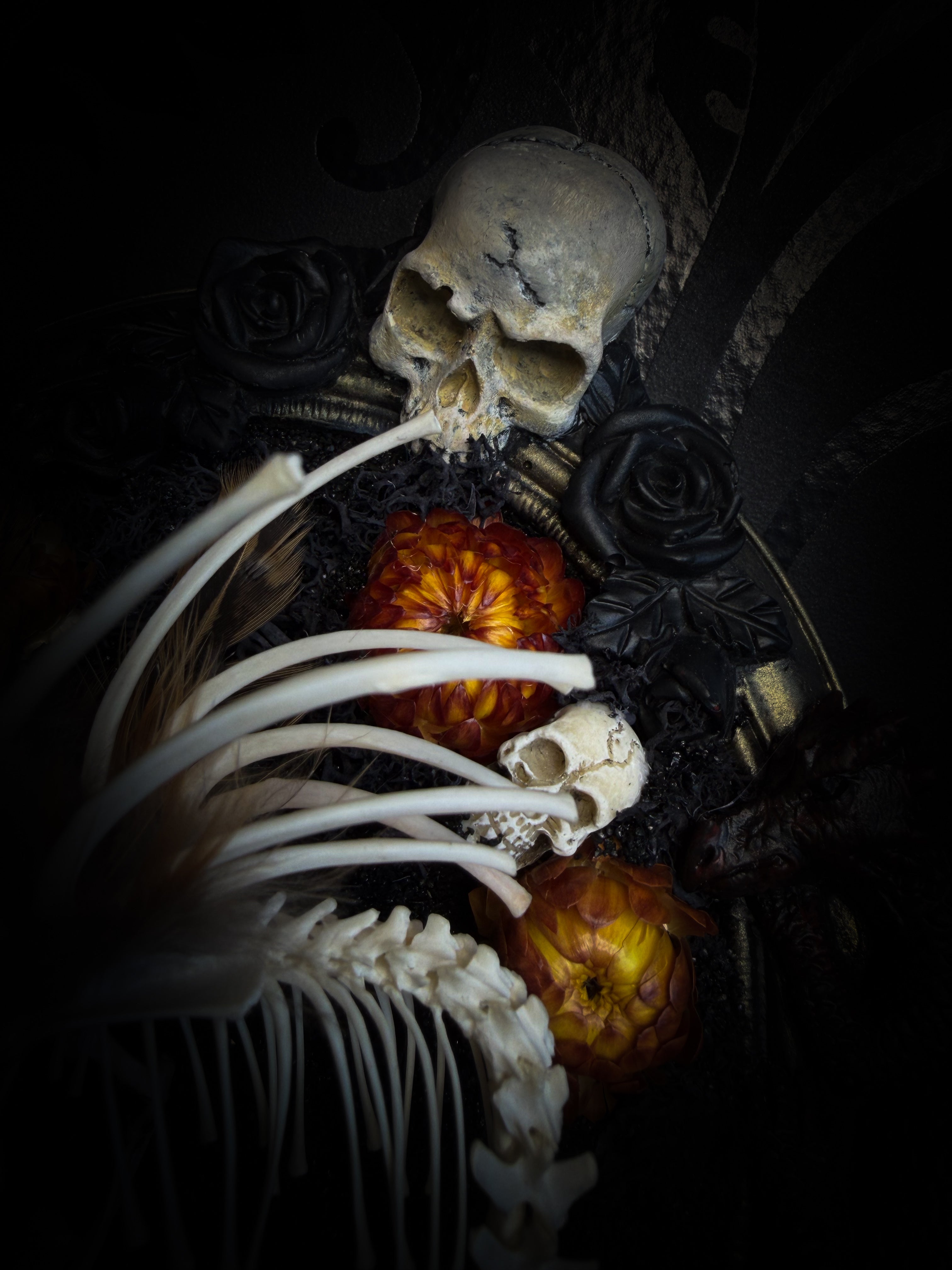 Handmade gothic wall decor — hand-assembled real bone dragon skeleton with turtle skull, hand-cast gothic frame with dragons and skull motifs, 25x20cm