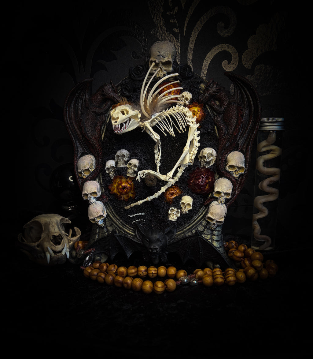 Handmade gothic wall decor — hand-assembled real bone dragon skeleton with turtle skull, hand-cast gothic frame with dragons and skull motifs, 25x20cm
